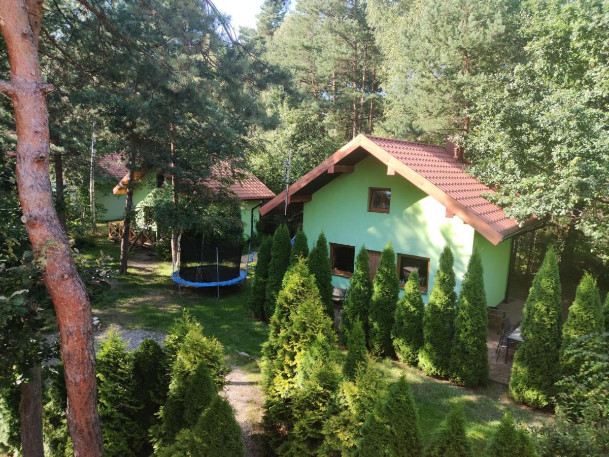 Niezapominajka-Jura Villa Niegowa Екстериор снимка