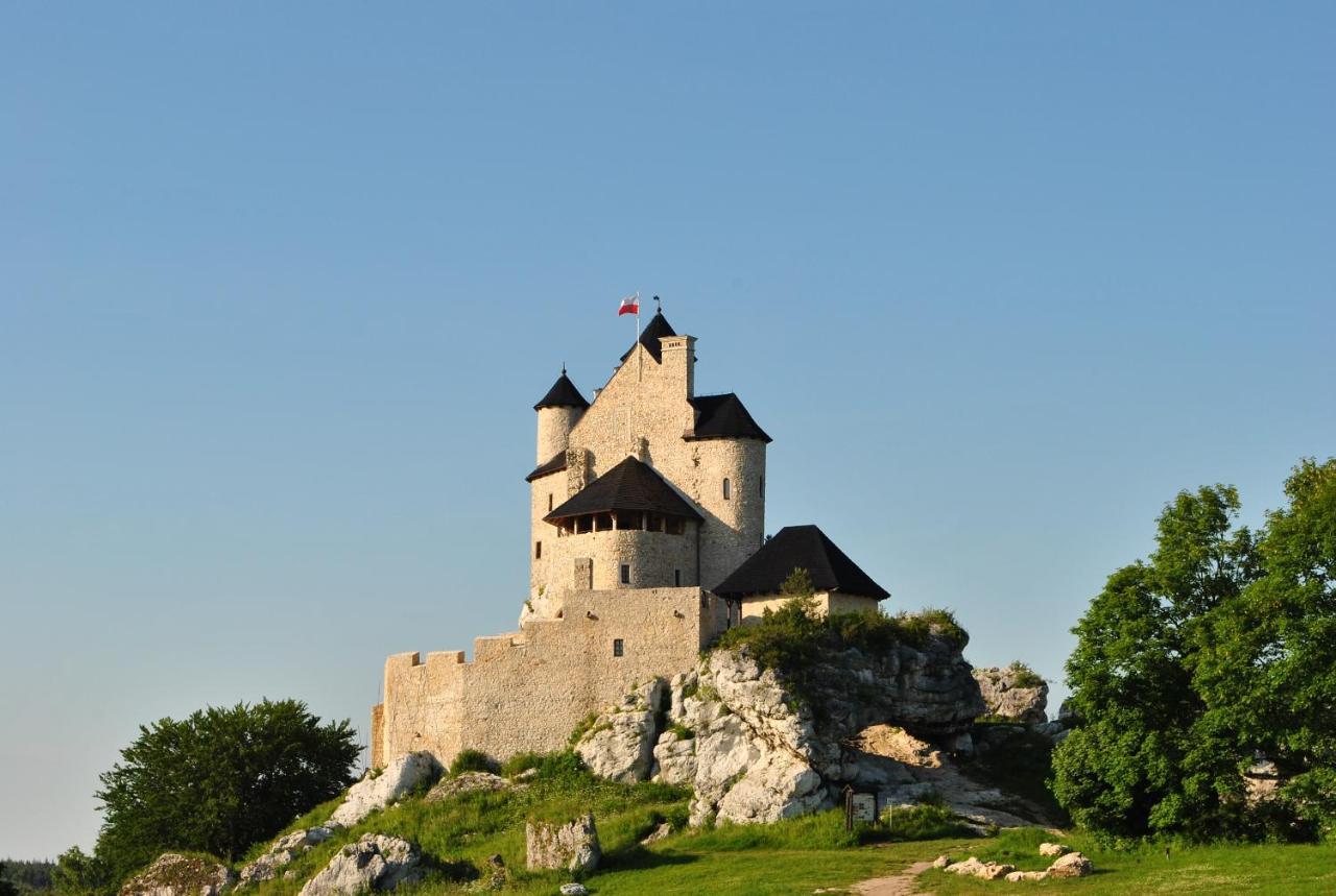 Niezapominajka-Jura Villa Niegowa Екстериор снимка