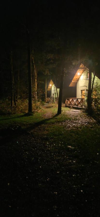 Niezapominajka-Jura Villa Niegowa Екстериор снимка