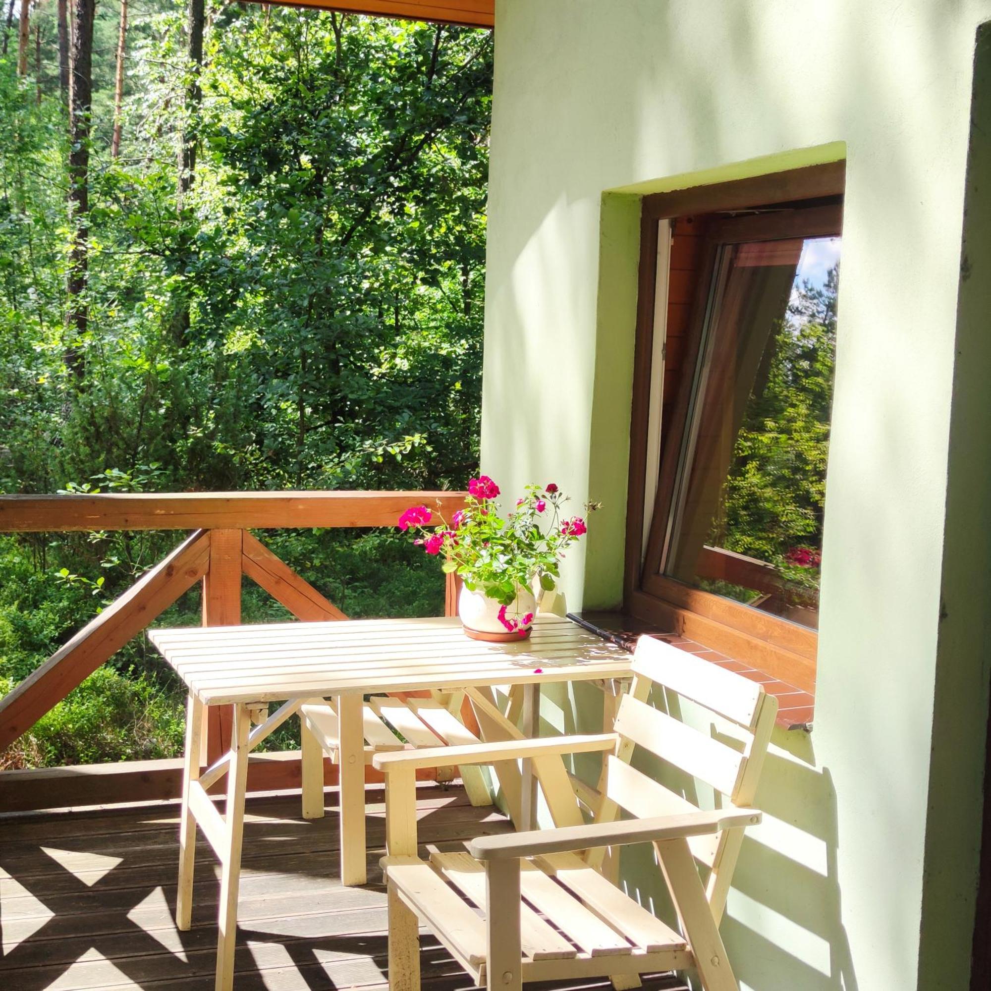 Niezapominajka-Jura Villa Niegowa Екстериор снимка